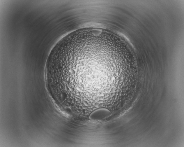 X0000073521125200608140953