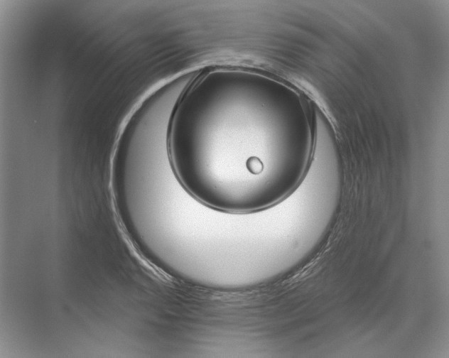 X0000073521128200608140953