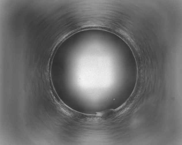 X0000073521129200608140953