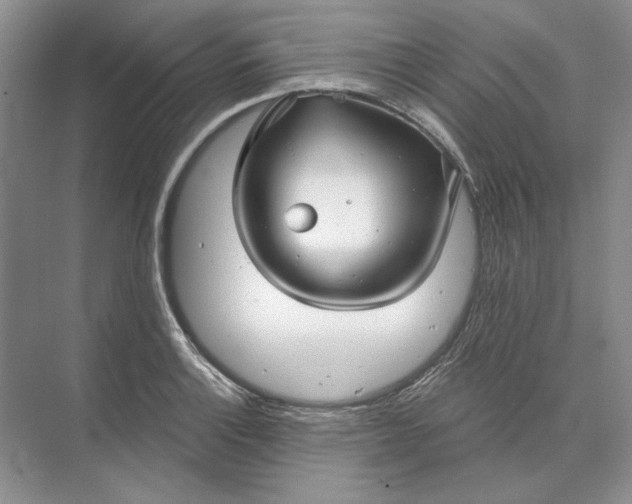 X0000073521132200608140953