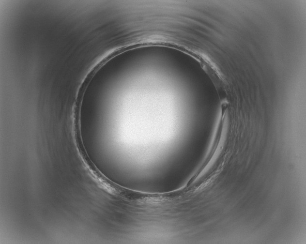 X0000073521134200608140953