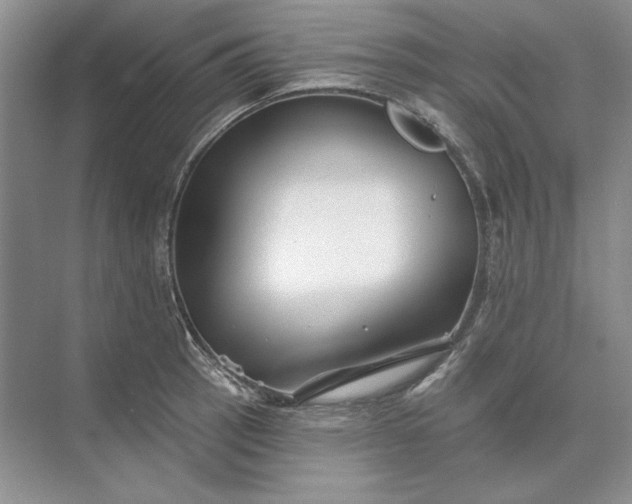 X0000073521137200608140953