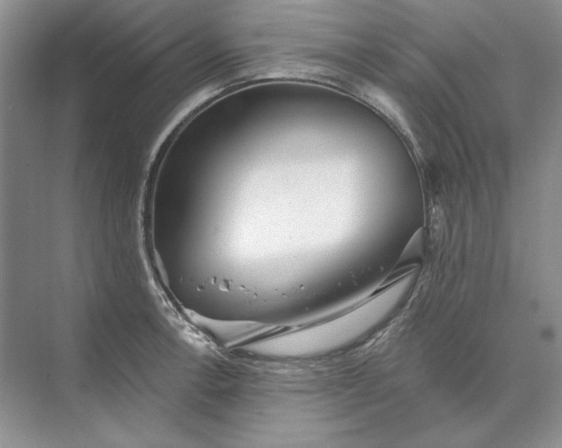 X0000073521138200608140953