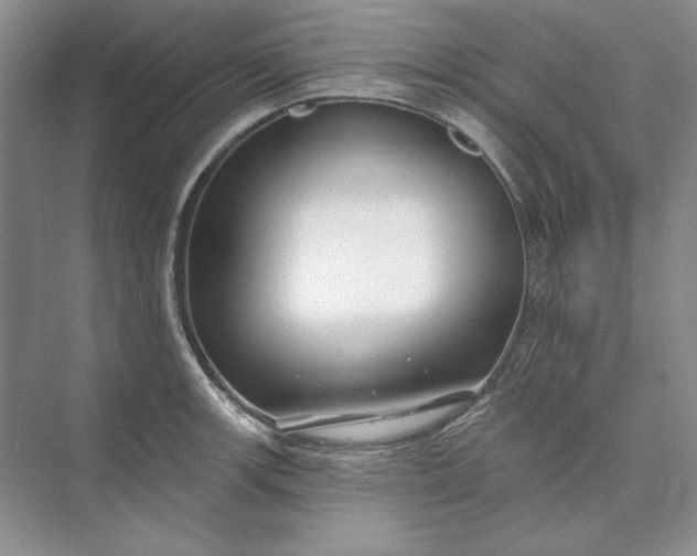 X0000073521139200608140953