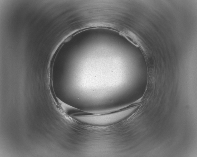 X0000073521140200608140953