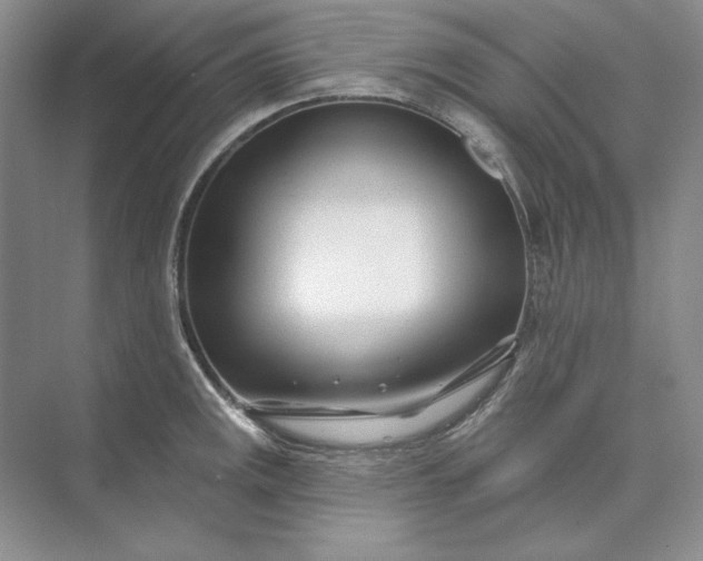 X0000073521141200608140953