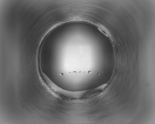 X0000073521142200608140953