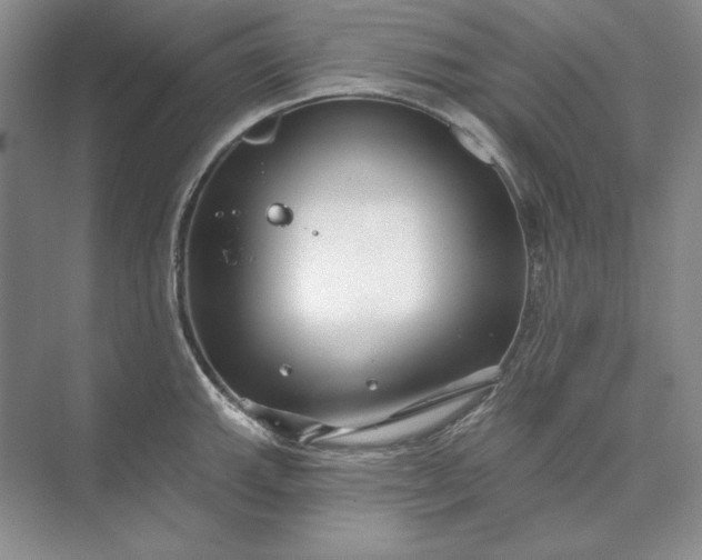 X0000073521143200608140953