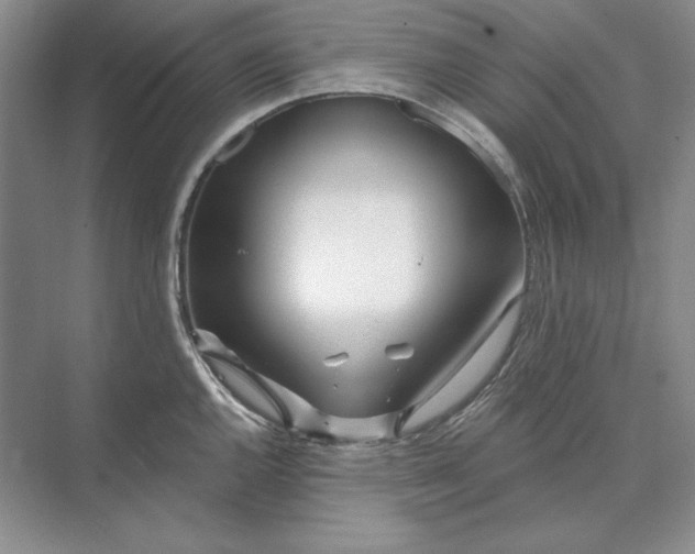 X0000073521144200608140953