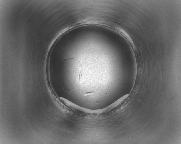 X0000073521146200608140953