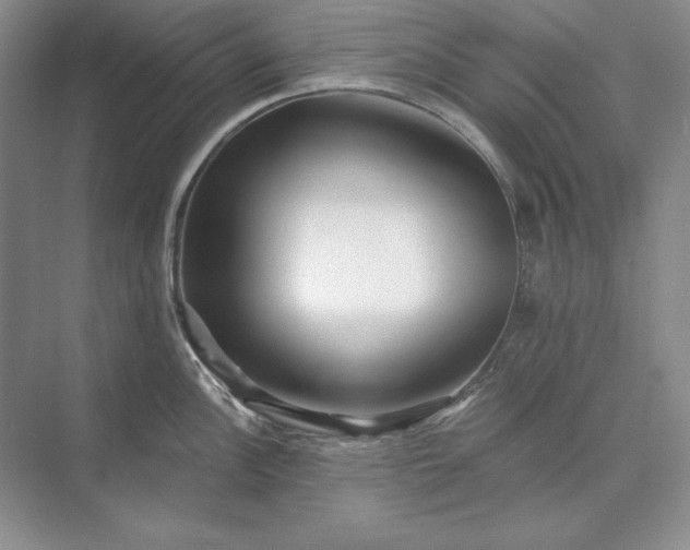 X0000073521148200608140953