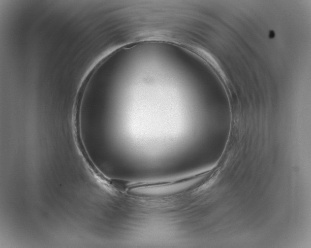 X0000073521149200608140953