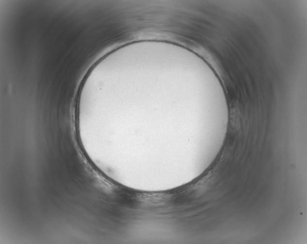 X0000073521150200608140953