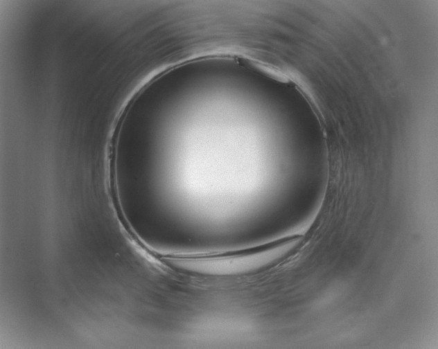 X0000073521151200608140953