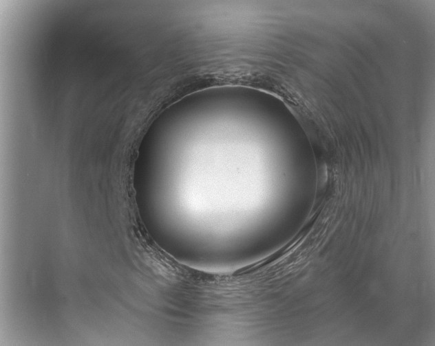 X0000073521153200608140953