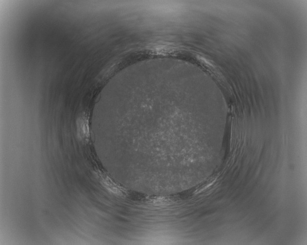 X0000073521155200608140953