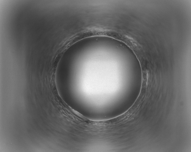 X0000073521157200608140953