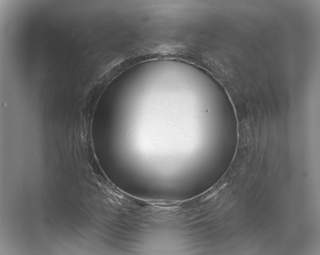 X0000073521158200608140953