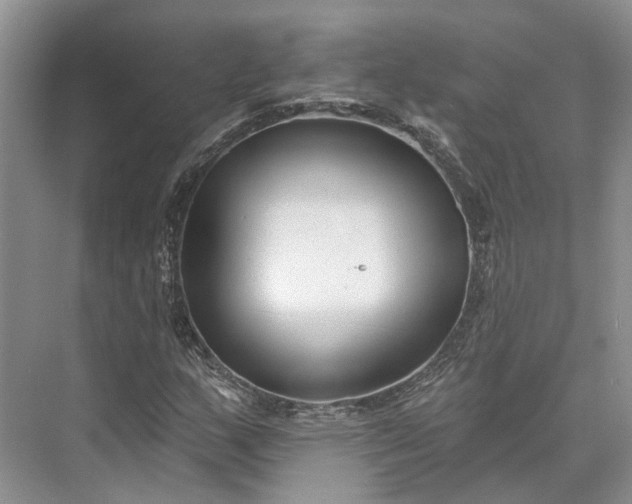 X0000073521159200608140953