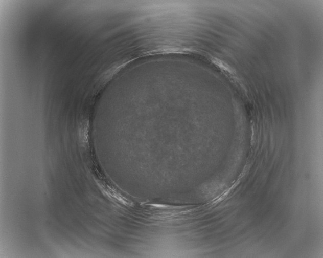 X0000073521161200608140952