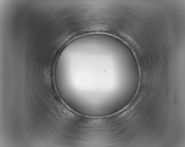 X0000073521162200608140952