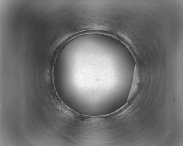 X0000073521163200608140952