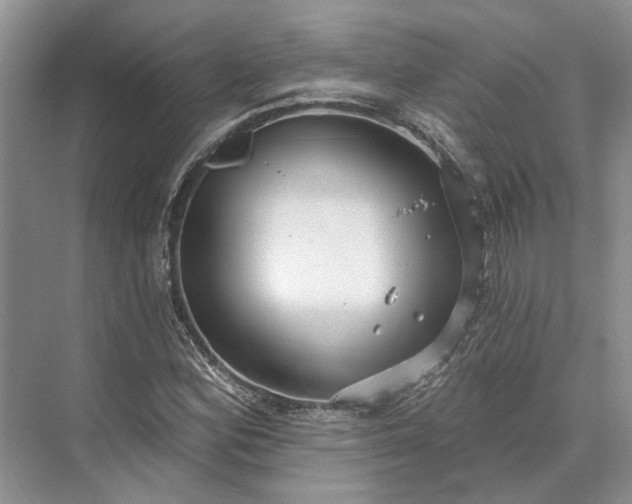 X0000073521164200608140952