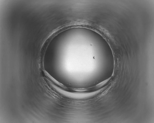 X0000073521165200608140952