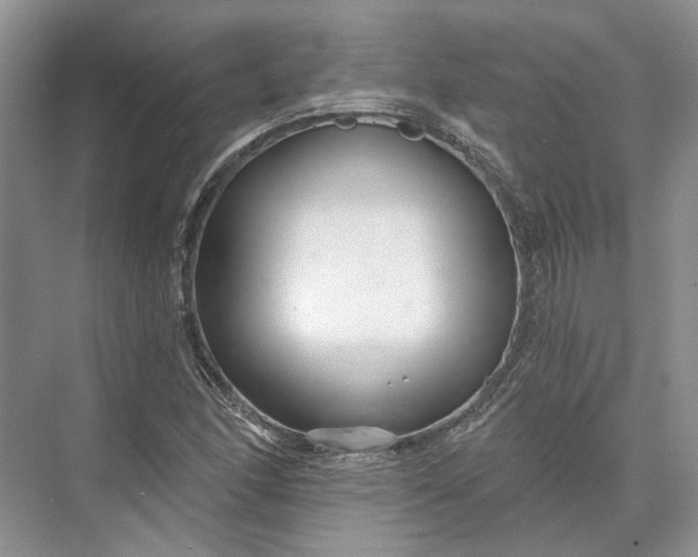 X0000073521166200608140952