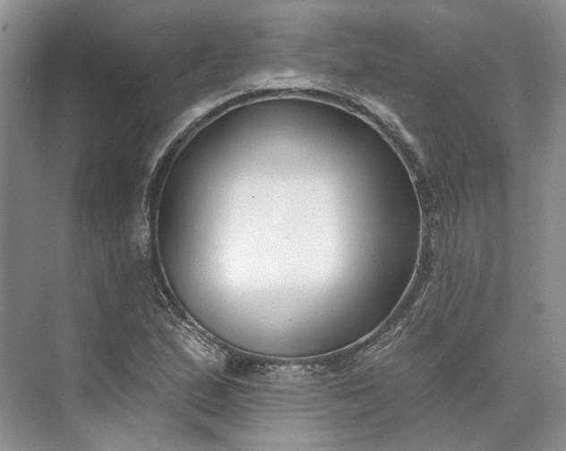 X0000073521167200608140952