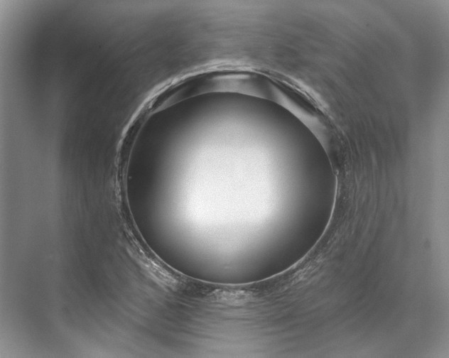 X0000073521168200608140952