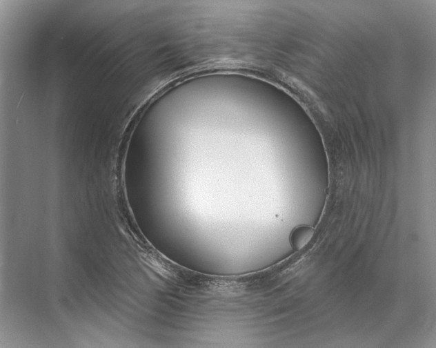 X0000073521170200608140952