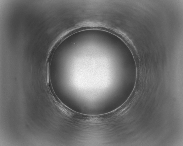 X0000073521175200608140952