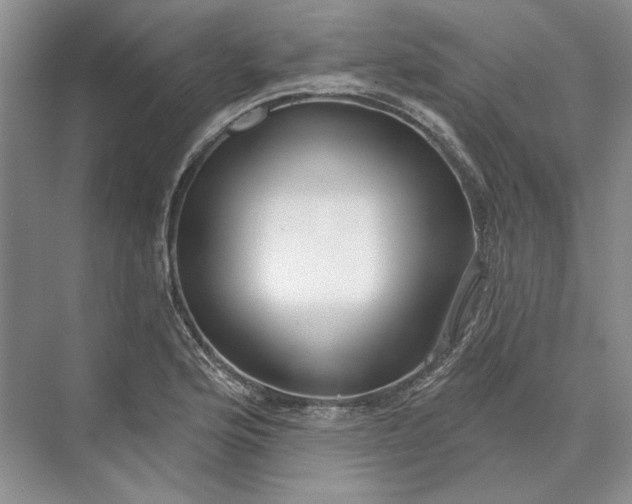 X0000073521176200608140952