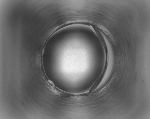 X0000073521177200608140952