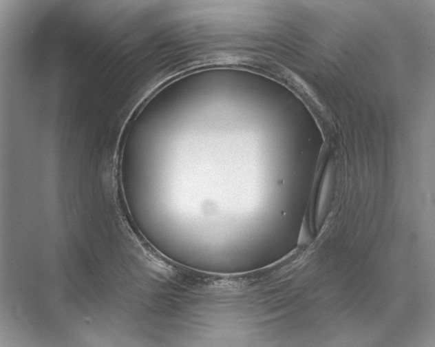 X0000073521178200608140952