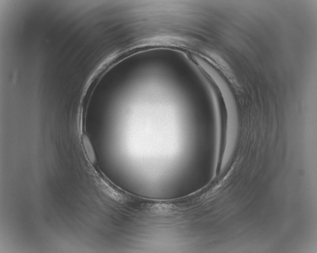 X0000073521180200608140952