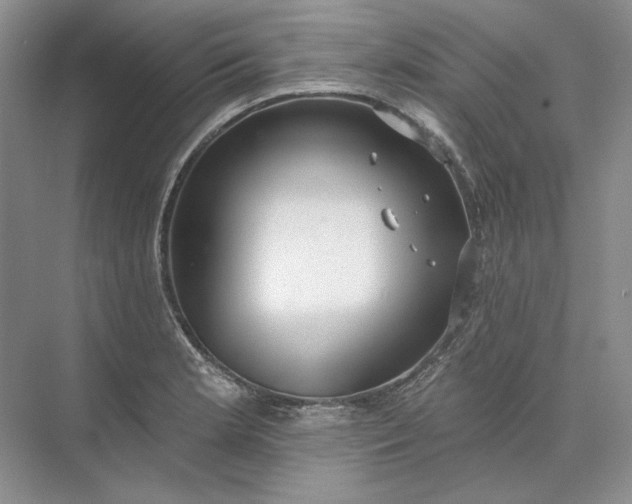 X0000073521181200608140952