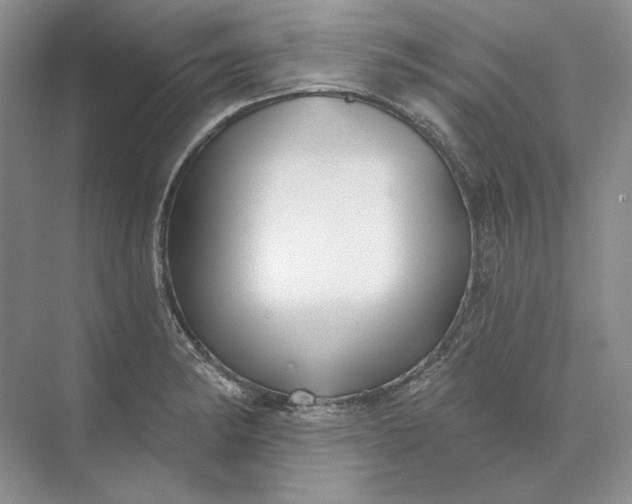 X0000073521182200608140952