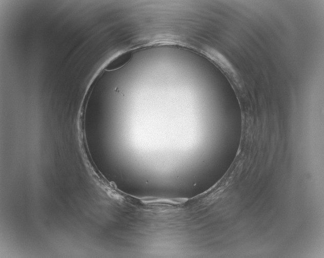 X0000073521190200608140952