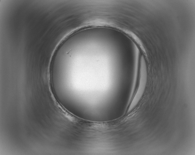 X0000073521191200608140952