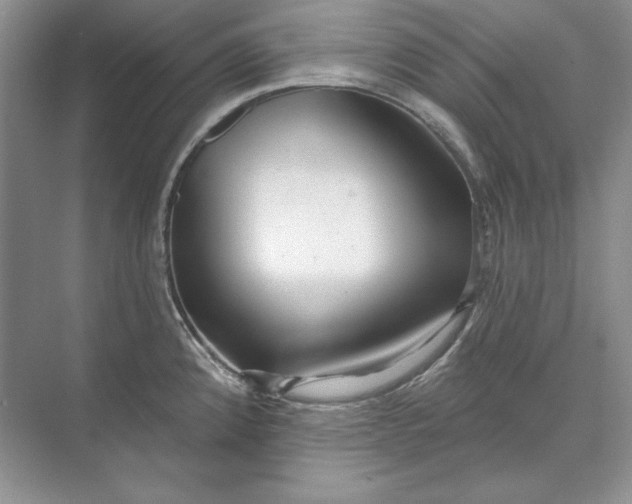 X0000073521192200608140952