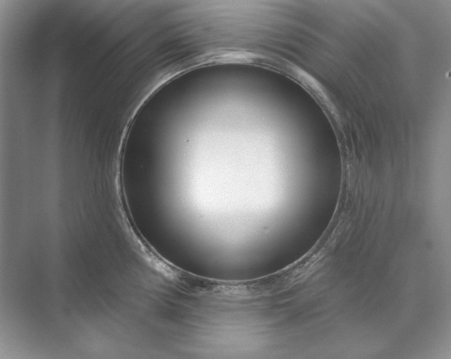 X0000073521194200608140952