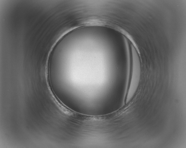 X0000073521195200608140952