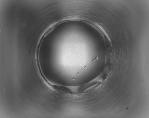 X0000073521197200608140952