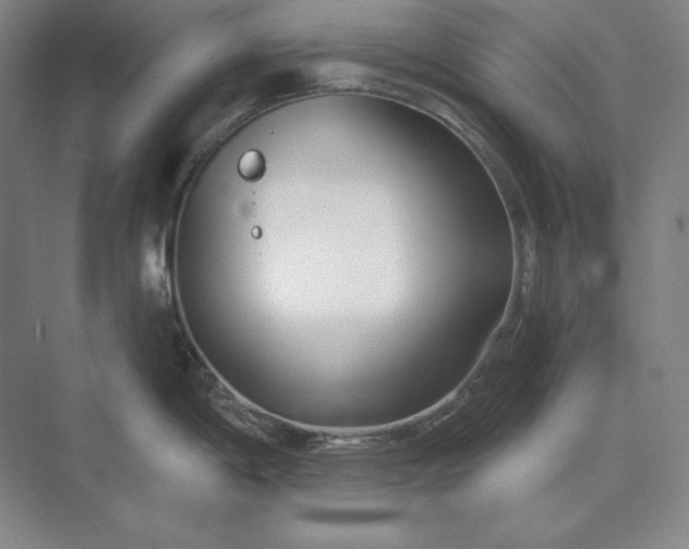 X0000073521198200608140952