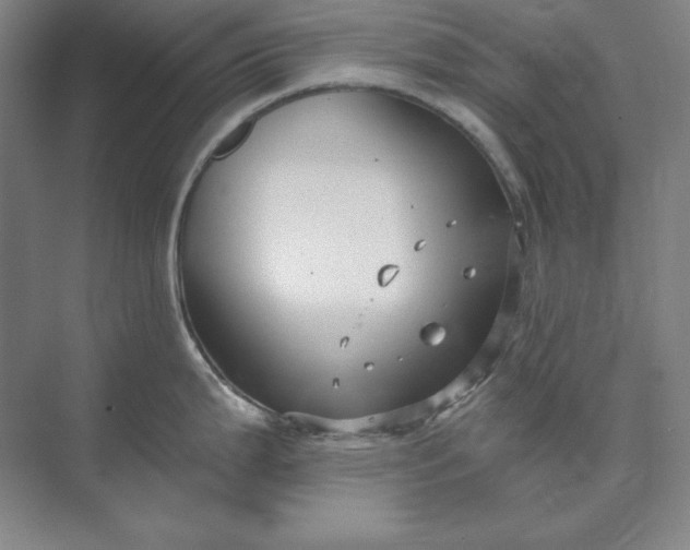 X0000073521199200608140952