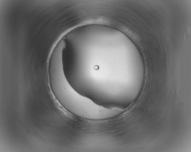 X0000073521200200608140952