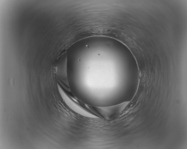 X0000073521202200608140951