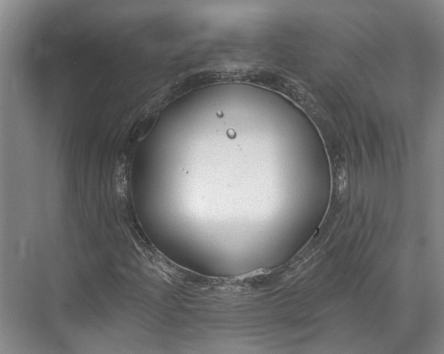 X0000073521204200608140951